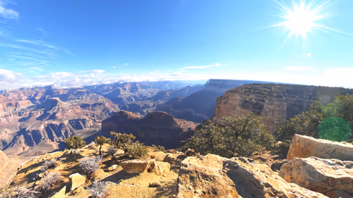 Item #114822171081428892344655605416315169478728978475993562715248379987975661944932 Media