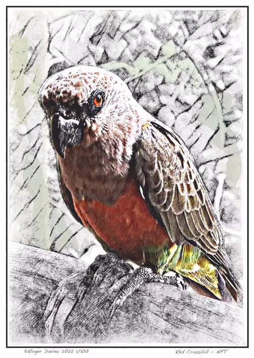 Item #113829610119937179277145653237989536661159515398728099625049874699647497273345 Media