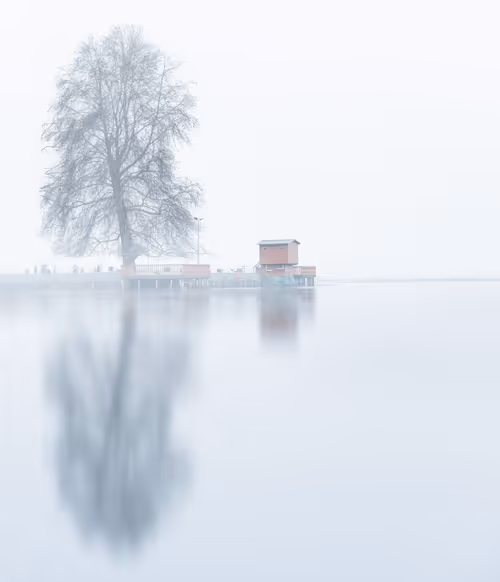 Item #100125324817140700473098673733568876555088890877521994710768706048513514930177 Media