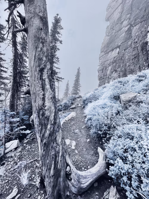 Item #62001089897654043678582796294711651900724303774679820814799839854363947302913 Media