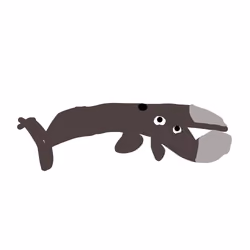 Bowhead Whale