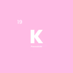 12332245684065198764694527978536122317407596672492401615866658090157103644673