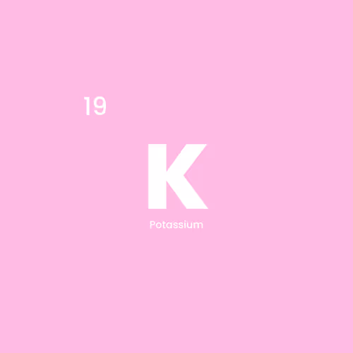 12332245684065198764694527978536122317407596672492401615866658090157103644673