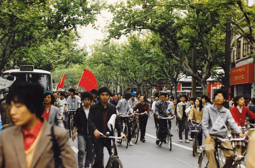 Item #29461927670043005861463006077700585730807783425921494929544881405465376849921 Media