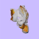 48469165387921265044900897301761206016959539917850583262465289693490661294081