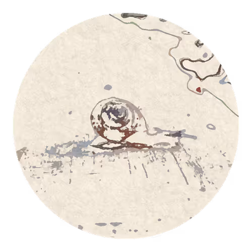 Item #73474911565276893363269127585336255498112534630235322163062143239279893020673 Media