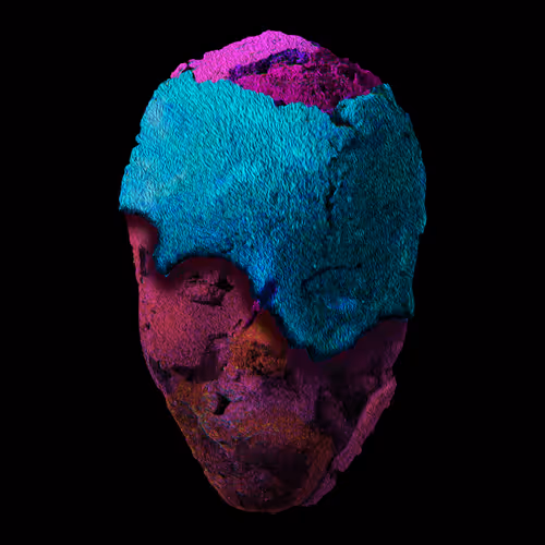 Item #27962443857850666400778794939179223667452374374845620376262604584483783966721 Media