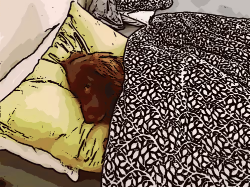 Sleeping doggy