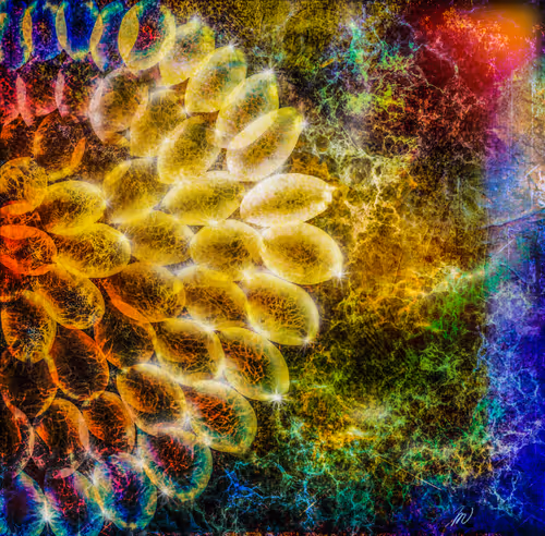 Item #35135057246876855535948544646223135557775389745028522947438532486468305158145 Media