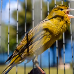 29357035740362283304193054454536633820304787893462387818966021847092811530241