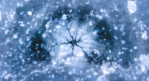 Item #44597214207808434690728600590910675747721082411314355056024202371488968343553 Media