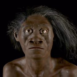 2749212597480566319420670968386715303055052819437880047570039905078889939032