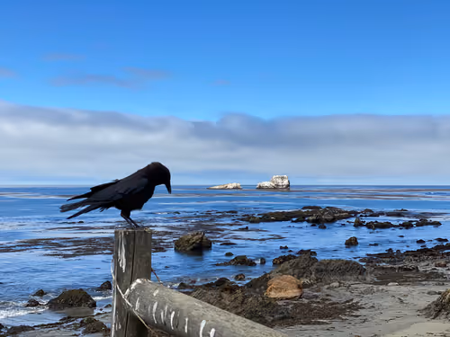 Item #11546476274984408856392726811065404241647986926725783631550101366427978039297 Media