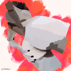 68381593716562865563152099600931244155486109678084785848427648016659955843073