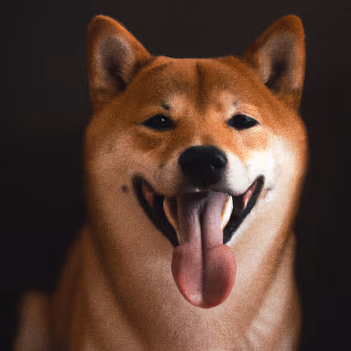 Item #34470142884482375674331152583341387110725961593908059002011227511465013411841 Media