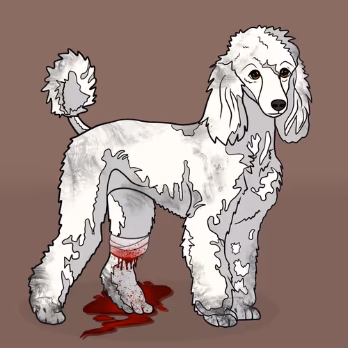 Item #18929025953091685879740265421444029621973902778044225700407145471501192396801 Media