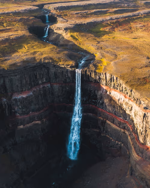 Item #71348397378810690825618428912408306798479722983811327082816877875225331499009 Media