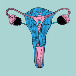 28824502245252267217549902857601847351510039266873569823091148456997528010753