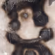 56005992956383711777704794183178529913911920029436283099297115385741027835905