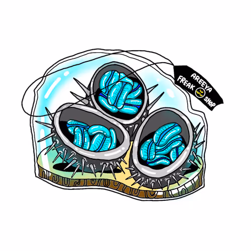 Item #111835991913276279275589227364703191745858311625334377680268554903454083973121 Media