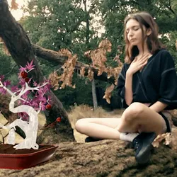 64756886729663901182407683046785870238927910246684417973897385864872815755265