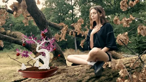 Item #64756886729663901182407683046785870238927910246684417973897385864872815755265 Media