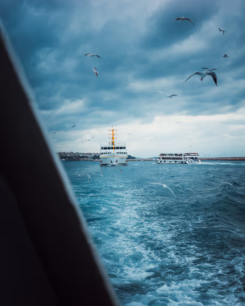 Item #25828147237821198195018353565513715926828886605696715423323237892690626478081 Media