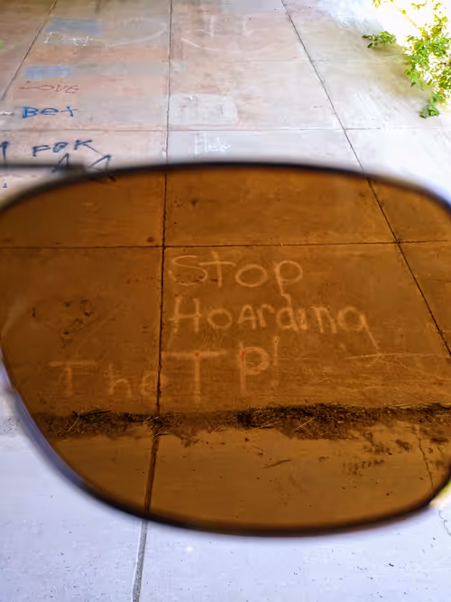 Item #24057865312828856288554598894297638818197838710436473654589626996119346085889 Media