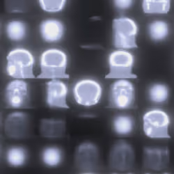 The Digitized Brain
