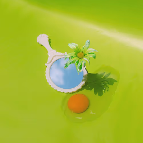 sally_emily Collection