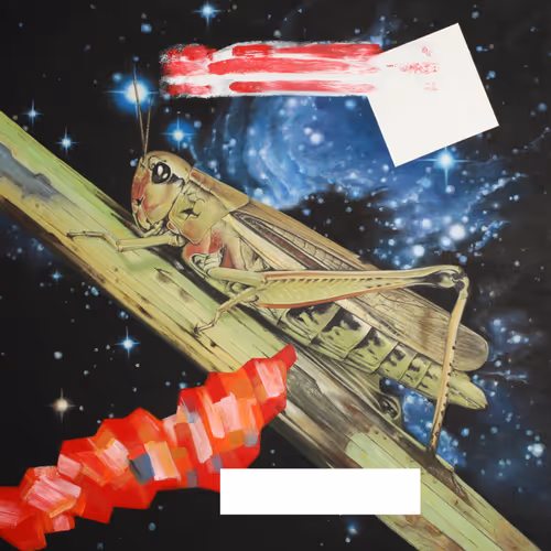 Item #55403932279388144085923635675739800924384492885263904181161584980194452570113 Media