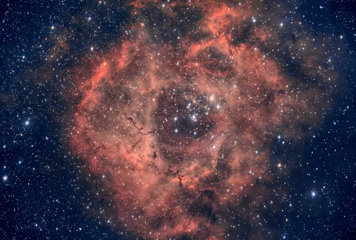 Item #97012587499429790410891449160678480242107377463649634715950859420823076208641 Media