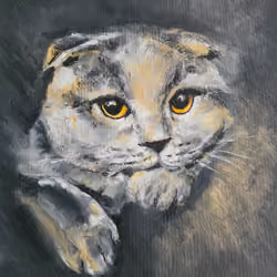 Alfie the Scottish Crypto Fold