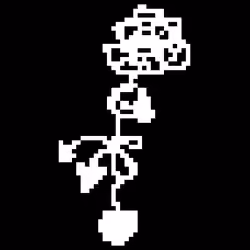 Seed #0637