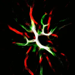 51929734946411346289540790635765095060363125039145709683616697235422543085569