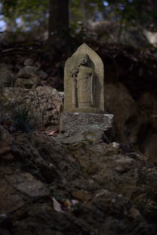 Item #29338470736162432658503928351875651882775793096611779186830202246414653718529 Media