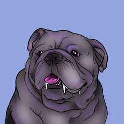 13429478788879462509724115288282259083069984880323738098495124754442986979329