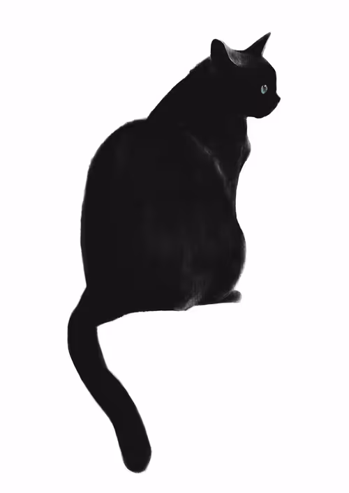 Item #82695799108276642583323751934613913274690371258081772662869305425542596526085 Media