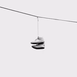 44231692163325033527706634296024509461007343983716307526579858980240516710401