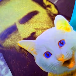 4747115153065902387790593868107453782499677024781155622119189985103869640705