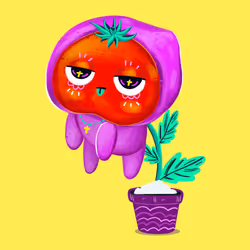 Baby tomato #004