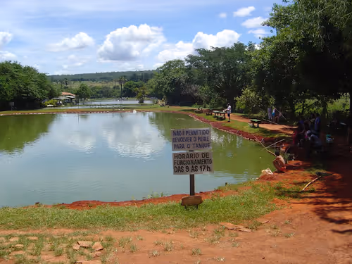 Item #85736313110782301056416418336141970438920589699819309045585814493895975763978 Media