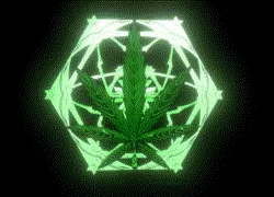 Juana Party