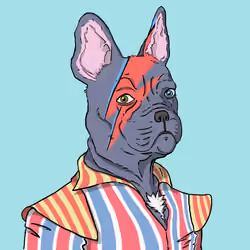 Fabulous Frenchies #Ziggy