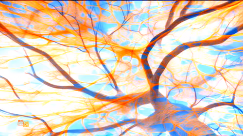 Item #89972369431013074484389068592837025130344296282461908441877120757230580269057 Media