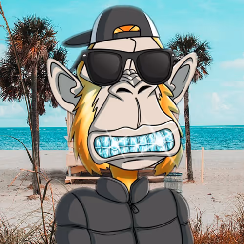 enigma965 Collection - old