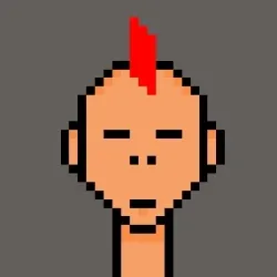 FreedomPunk#1
