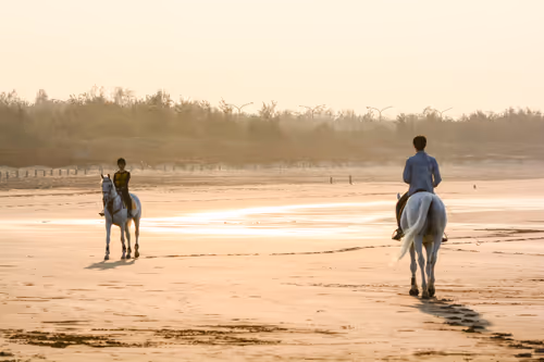 Item #15286439154353413258560728673590493507949724092509999987352070387886656061441 Media