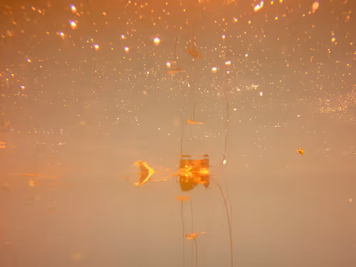 Item #115430421716330114127925714386191036467996783471008022249532804596829815570433 Media