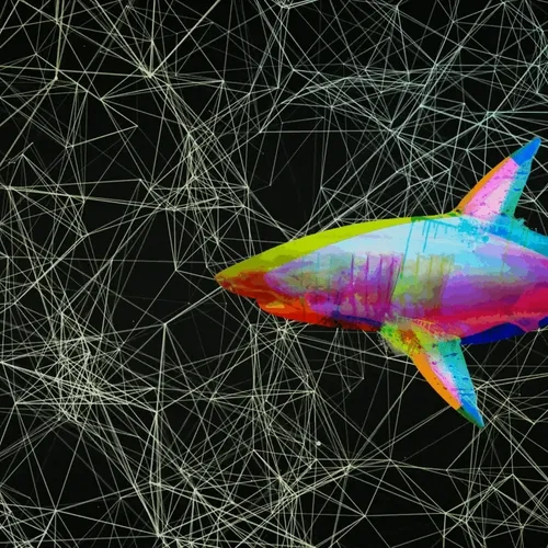 Nfg Rainbowsharks